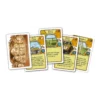 Agricola : Consul Dirigens - Extension