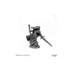 Alastriel, Elf Wizard - Figurine Héros & Héroïnes Reaper Miniatures