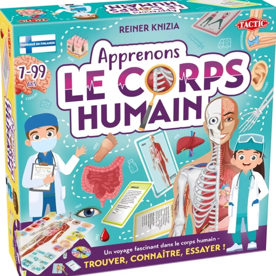Apprenons : Le Corps Humain