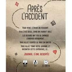 Après L'accident : Journal d'une Rescapée