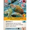 Ark Nova : Mondes Marins - Extension