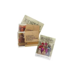 Avignon : A clash of popes - Micro Game