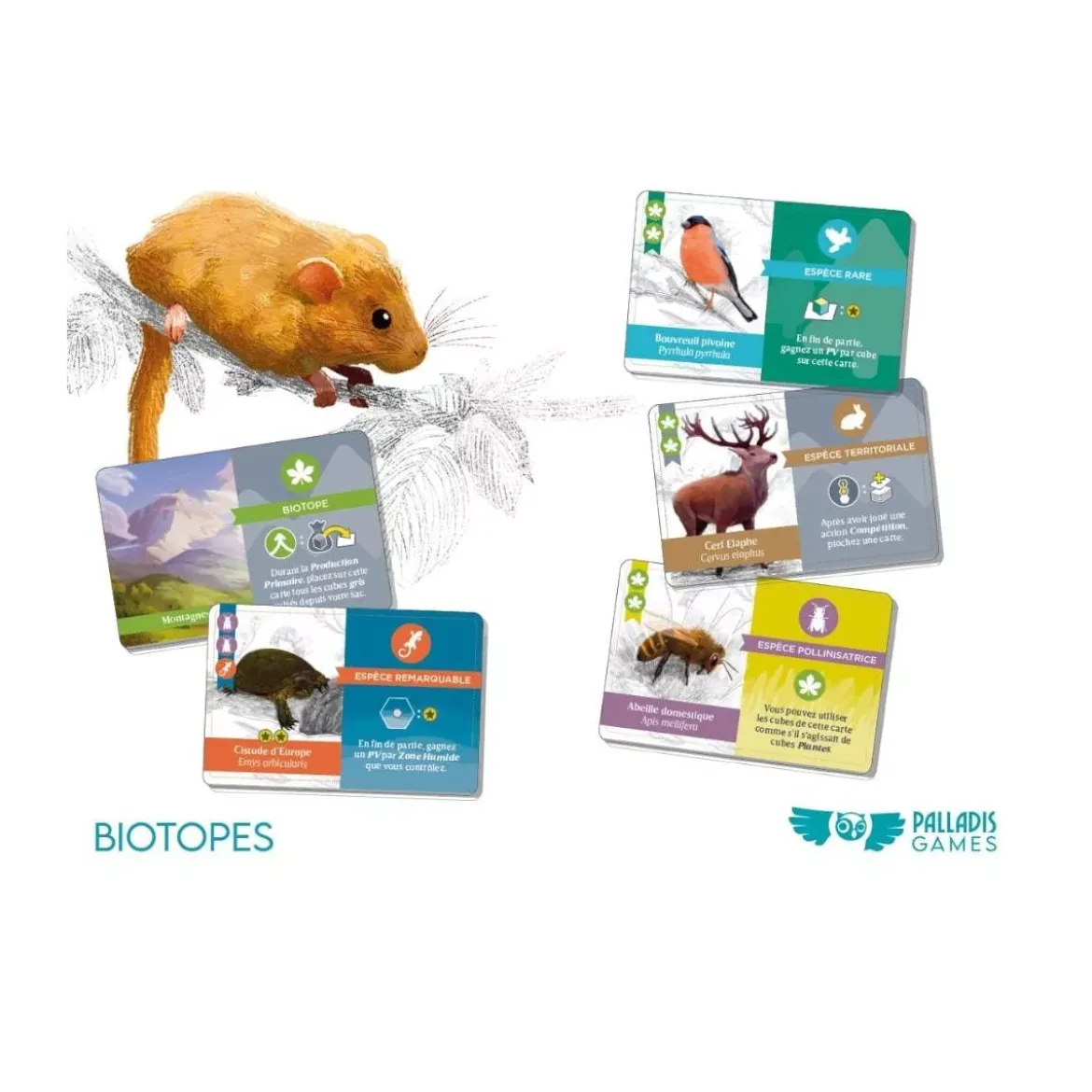 Biotopes - Version boutique