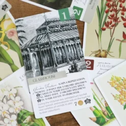Botany : Orchid Obsession - Extension - Version Anglaise