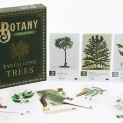 Botany : Tantalizing Trees - Extension - Version Anglaise