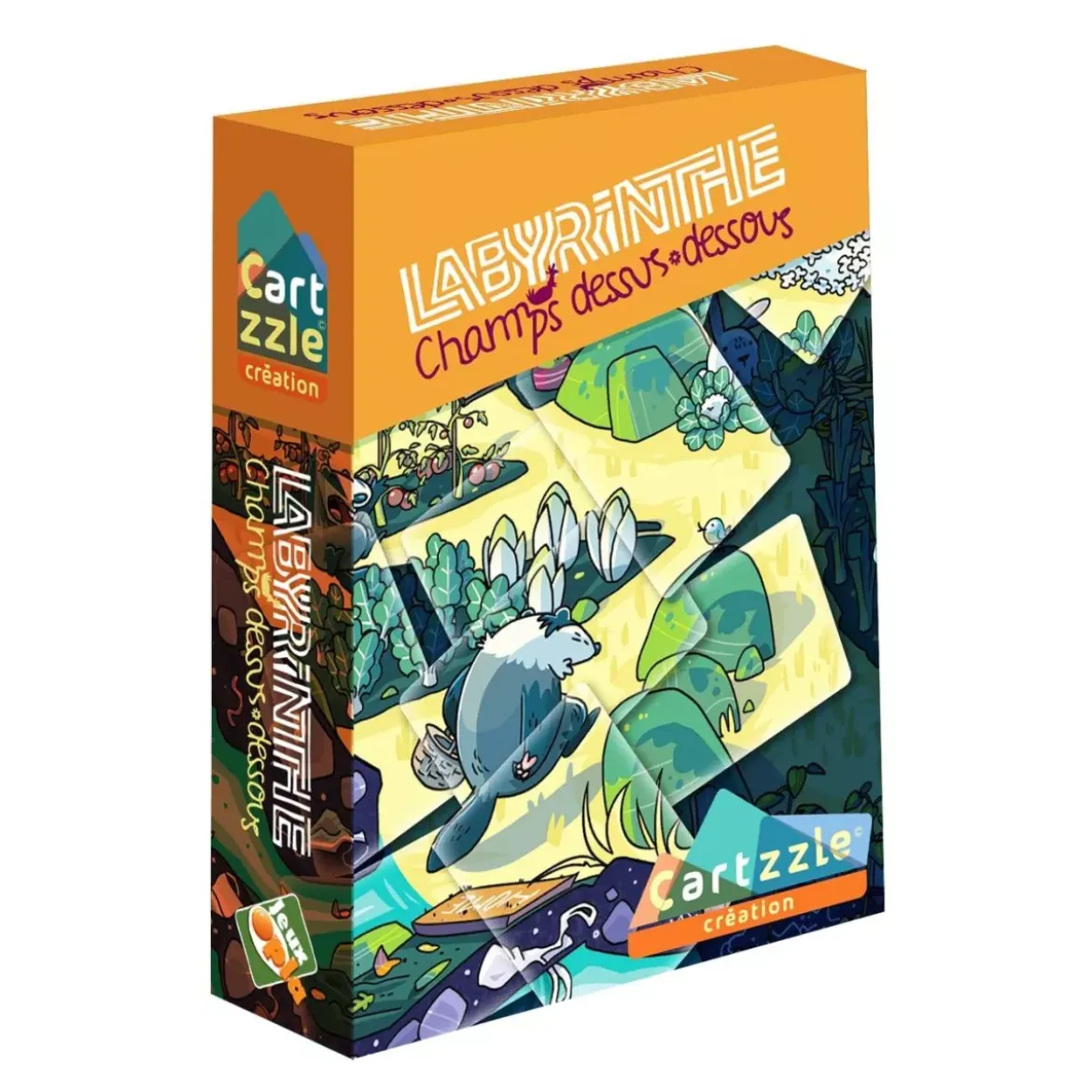 Cartzzle : Labyrinthe - Champs dessus-dessous