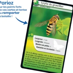 Défis Nature - Animaux : Abeilles et autres pollinisateurs
