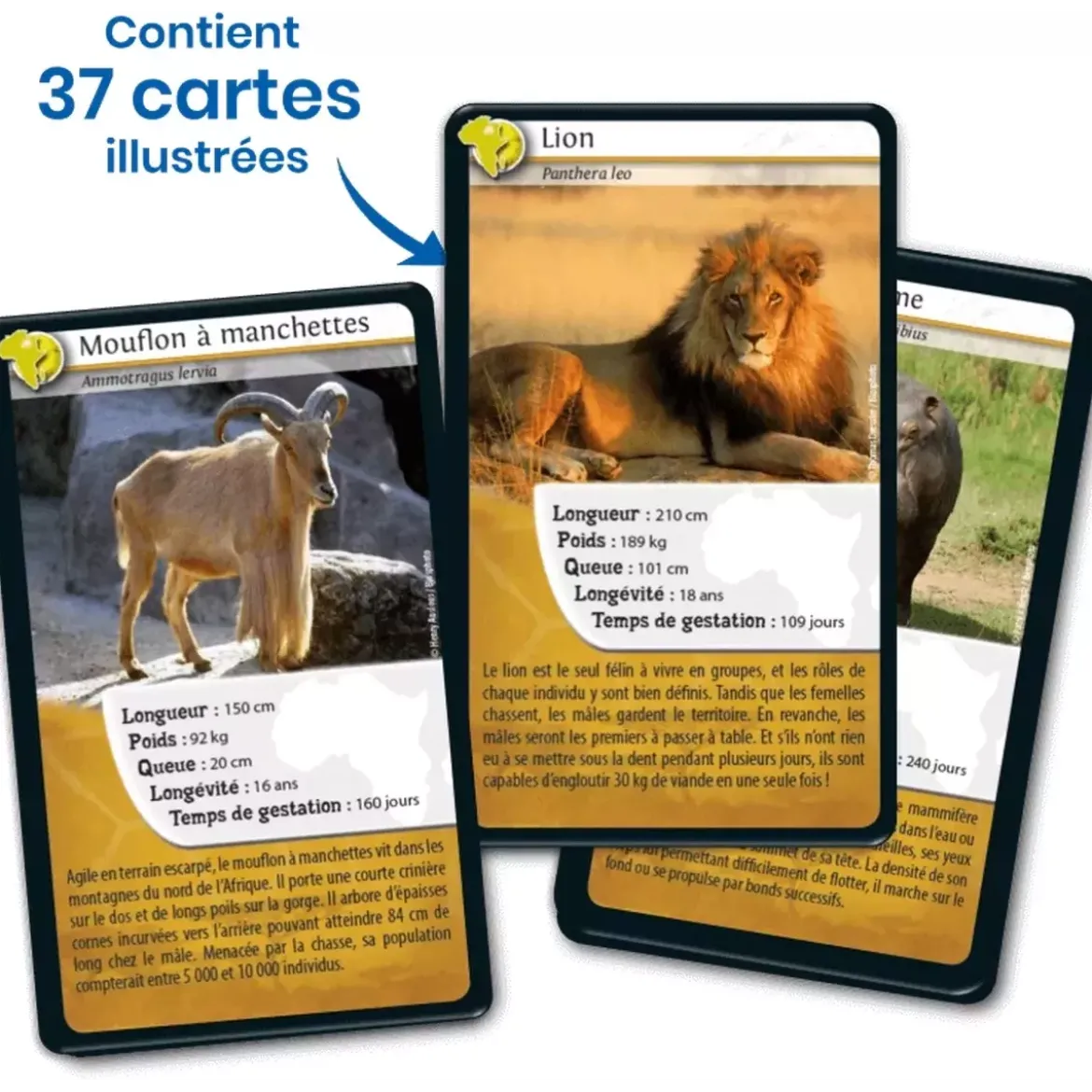 Défis Nature - Animaux : Afrique