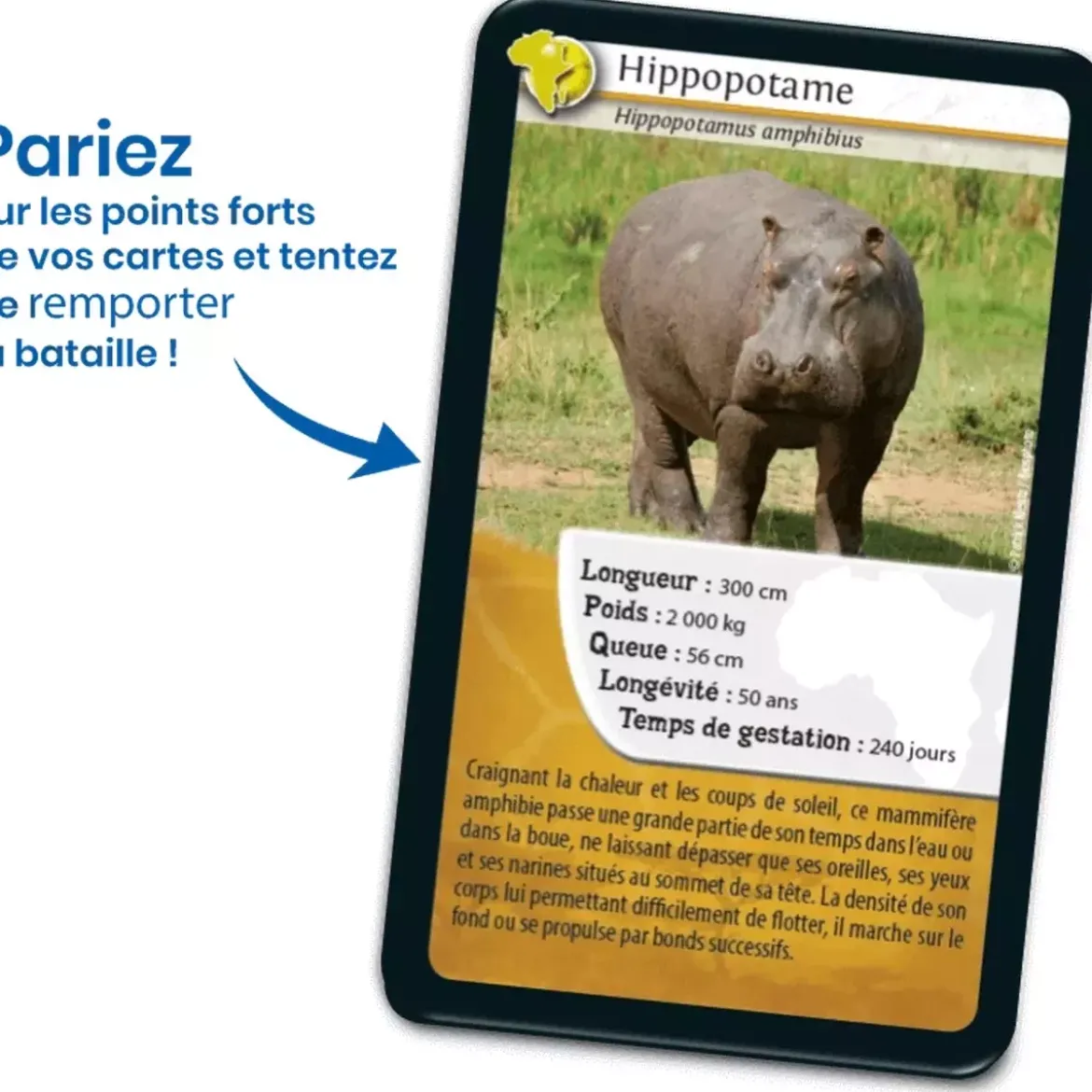 Défis Nature - Animaux : Afrique
