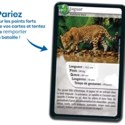 Défis Nature - Animaux : Amériques