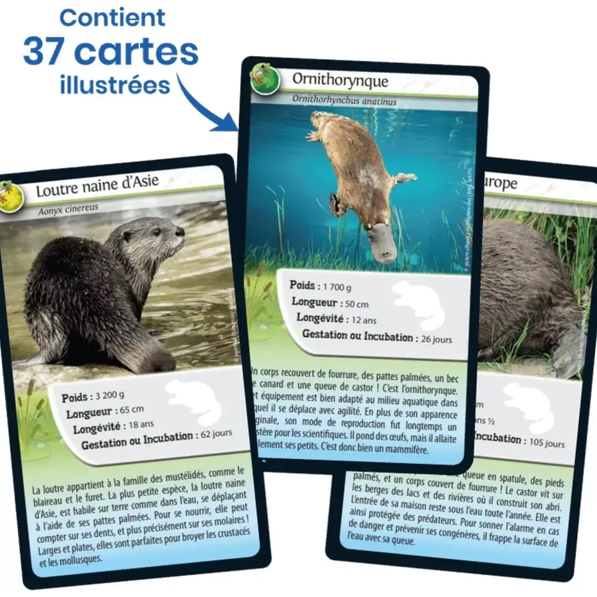 Défis Nature - Animaux : Animaux d'eau douce