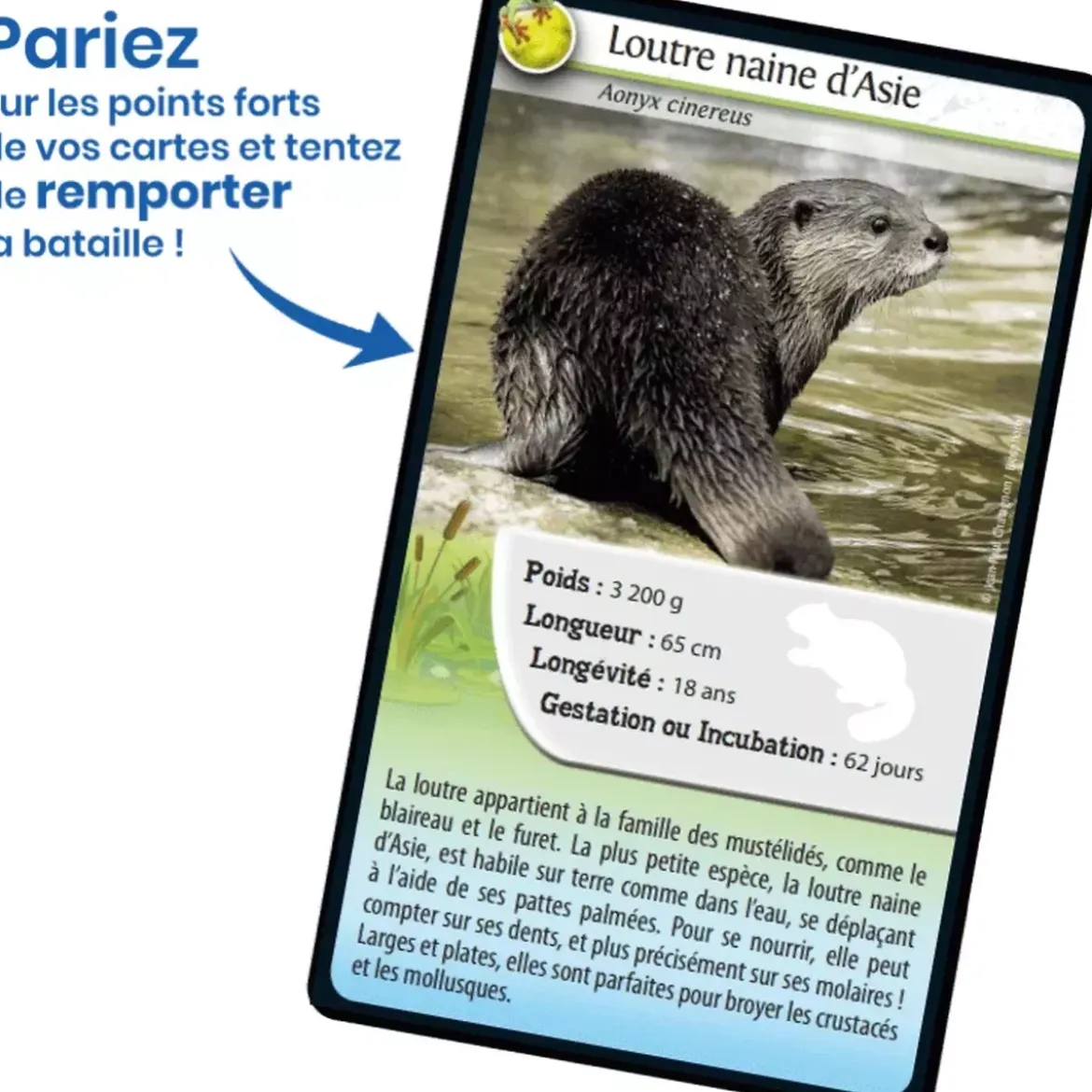 Défis Nature - Animaux : Animaux d'eau douce