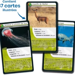 Défis Nature - Animaux : Animaux extraordinaires