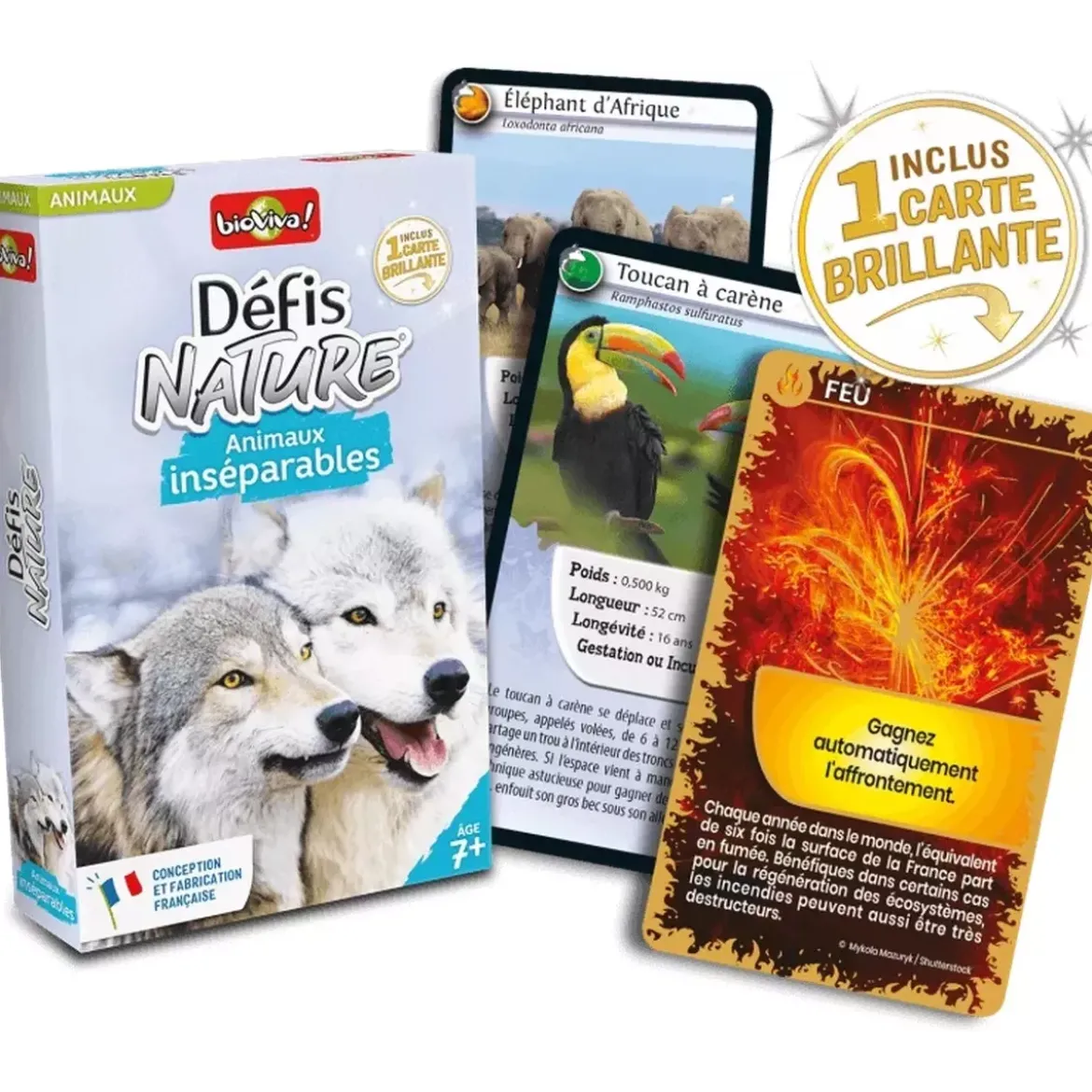 Défis Nature - Animaux : Animaux inséparables
