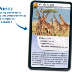 Défis Nature - Animaux : Animaux inséparables