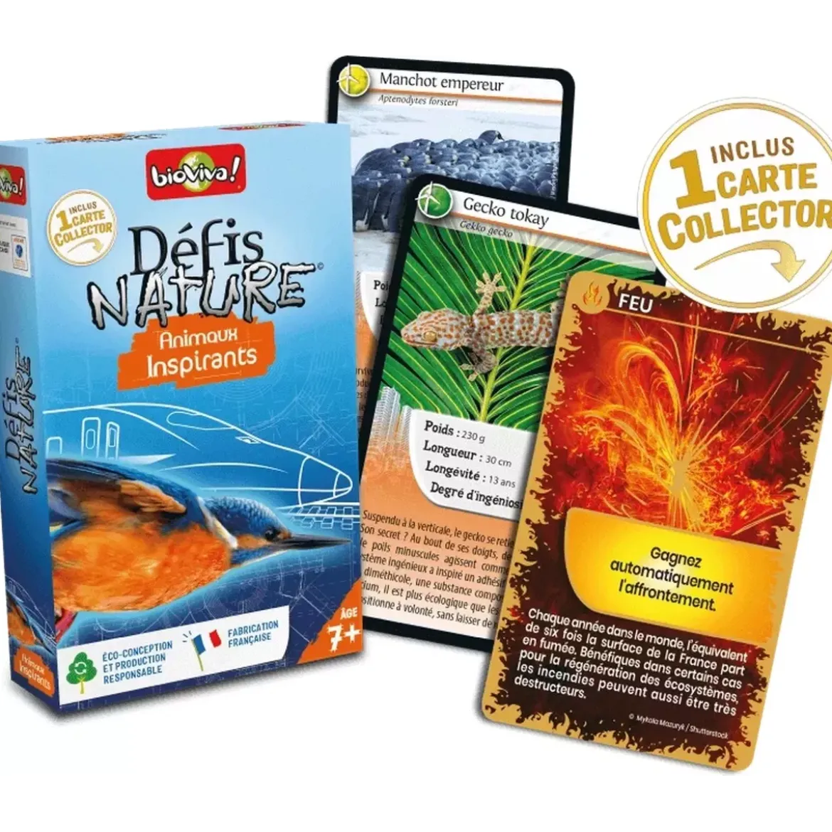 Défis Nature - Animaux : Animaux inspirants
