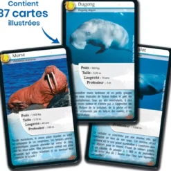 Défis Nature - Animaux : Animaux marins