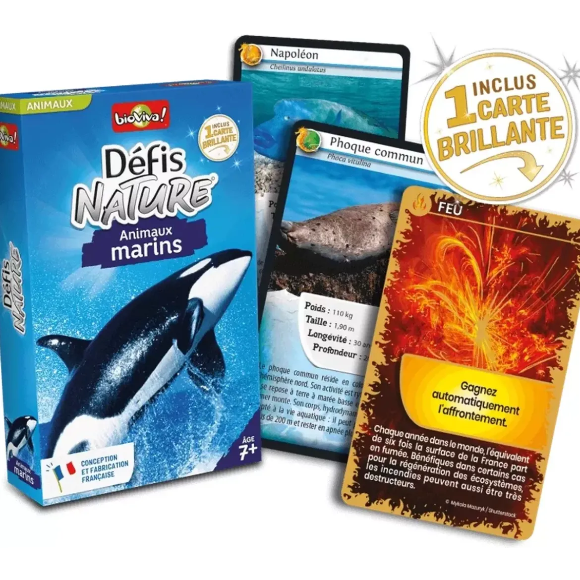 Défis Nature - Animaux : Animaux marins