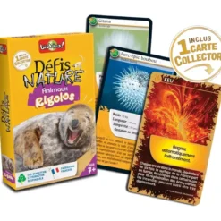 Défis Nature - Animaux : Animaux rigolos