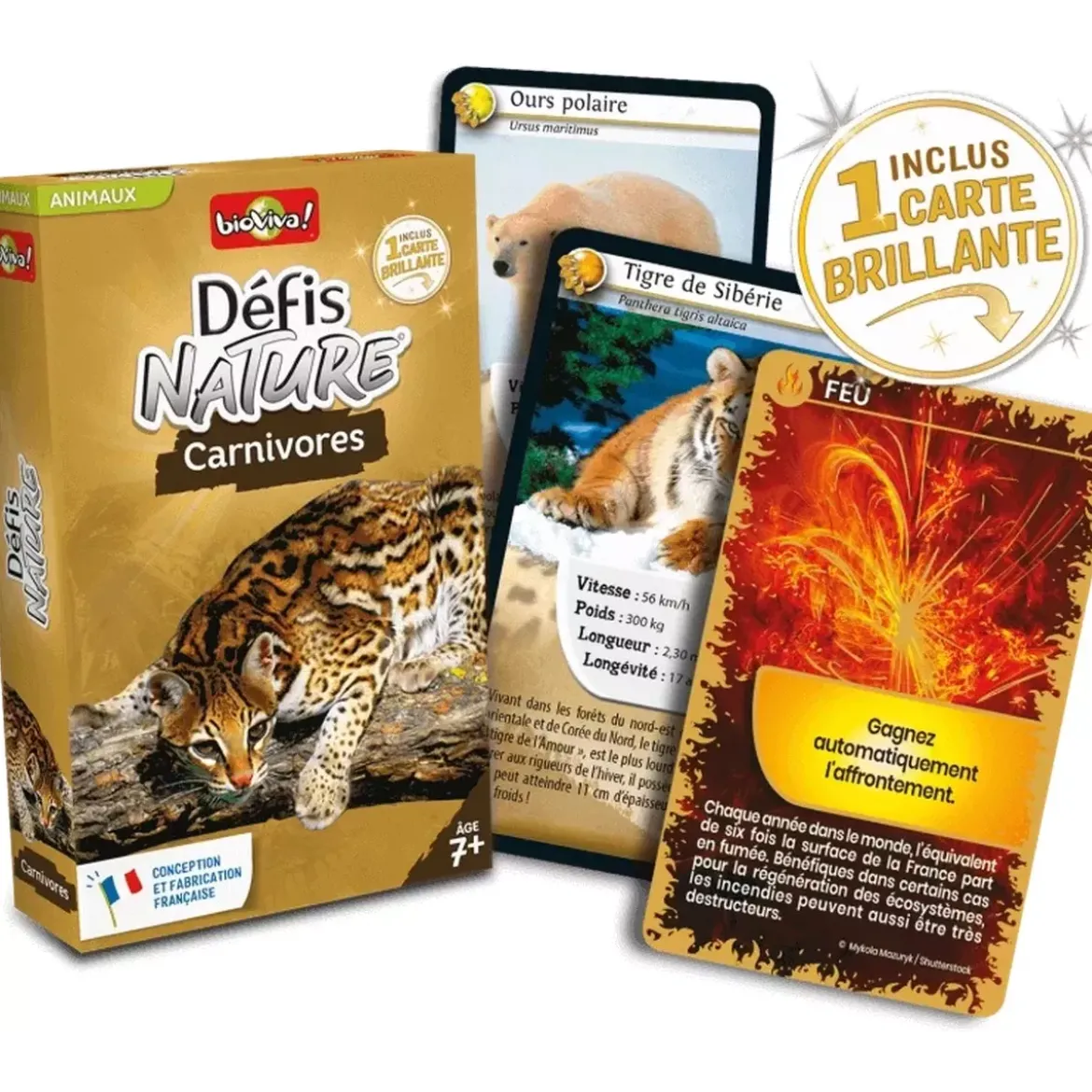 Défis Nature - Animaux : Carnivores
