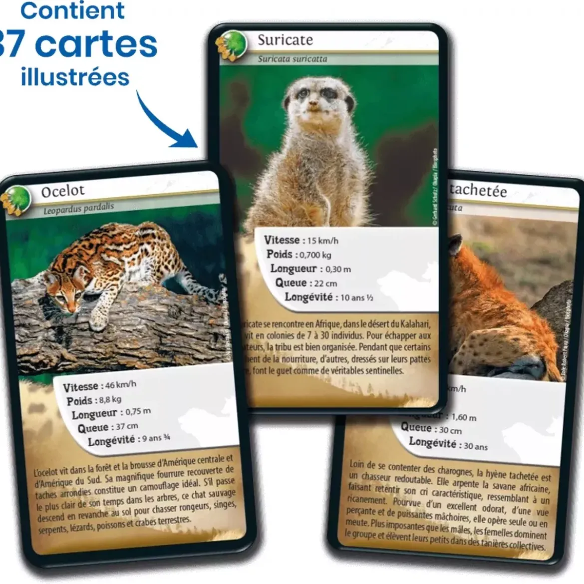 Défis Nature - Animaux : Carnivores