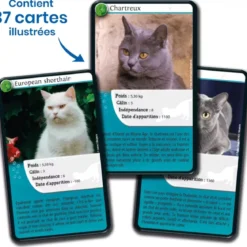 Défis Nature - Animaux : Chats