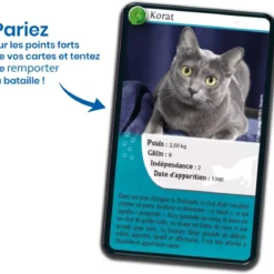 Défis Nature - Animaux : Chats