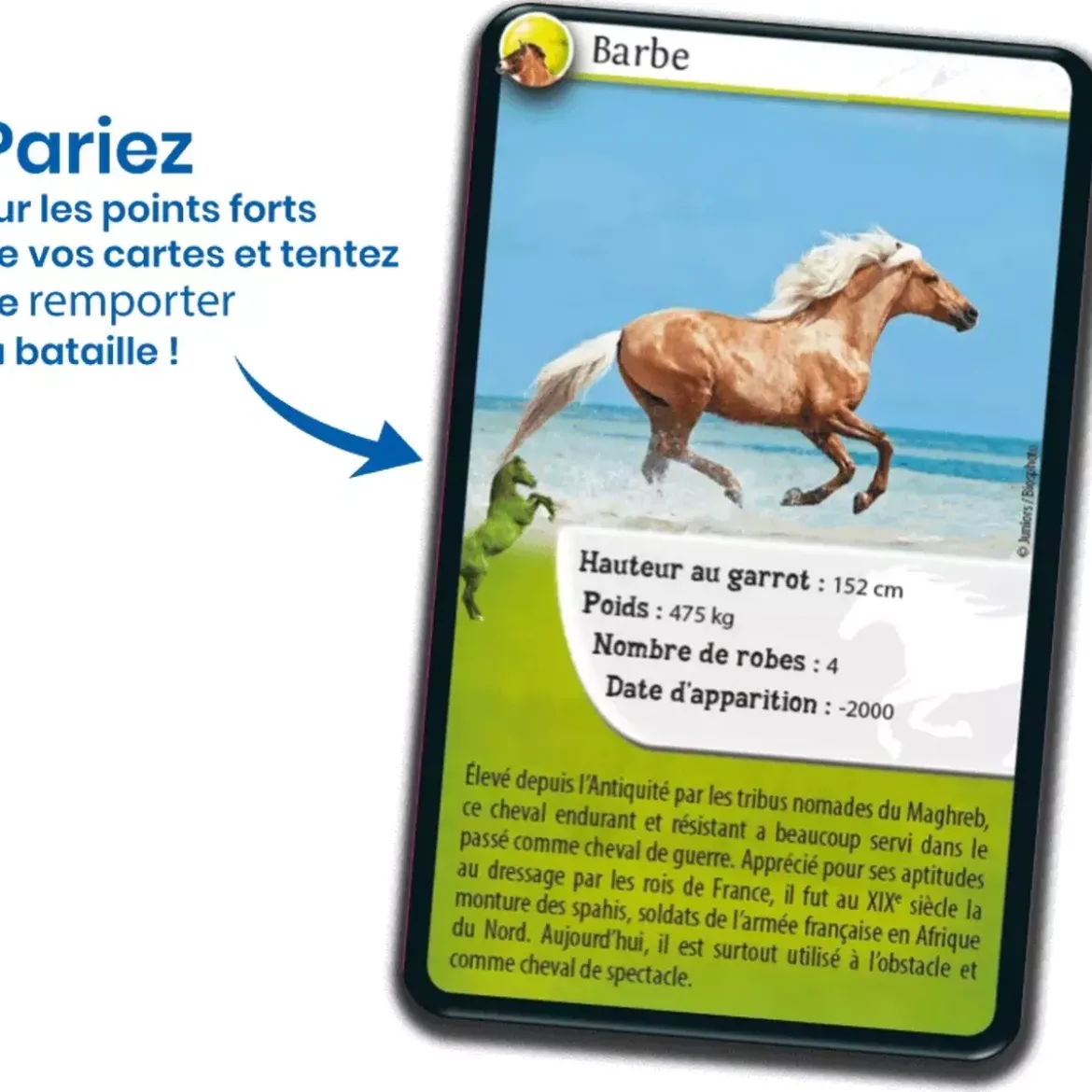 Défis Nature - Animaux : Chevaux