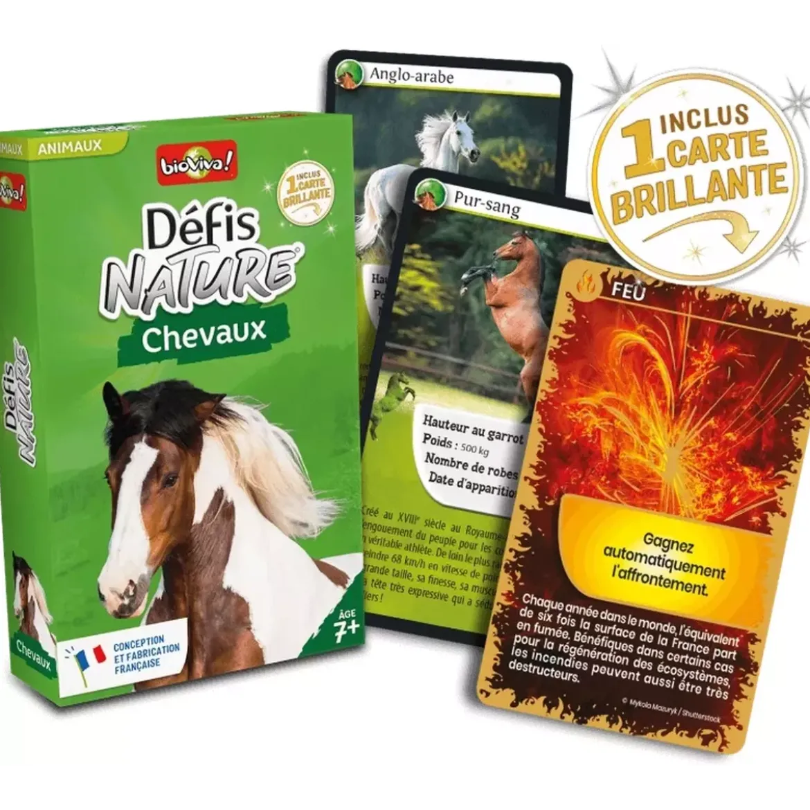 Défis Nature - Animaux : Chevaux