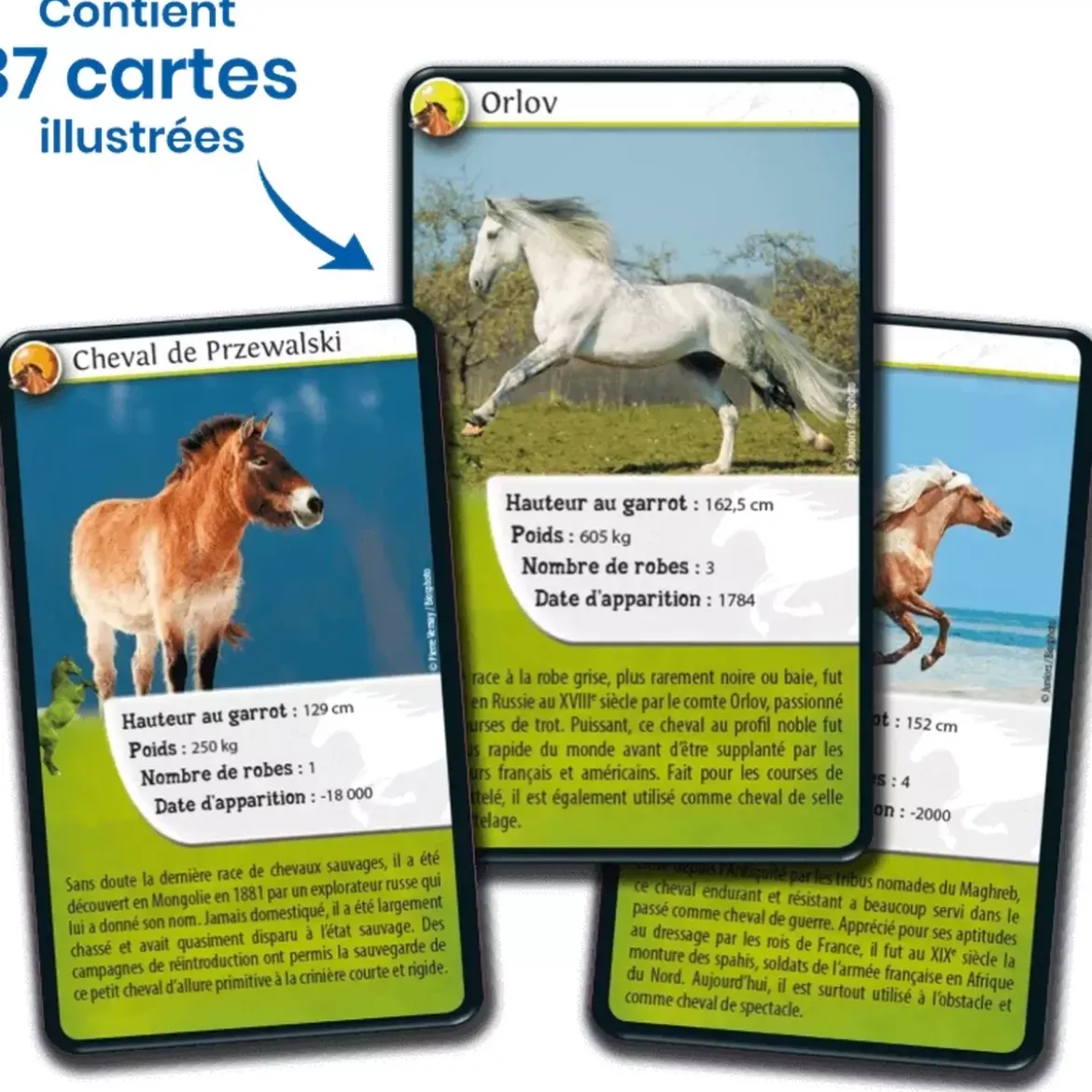 Défis Nature - Animaux : Chevaux