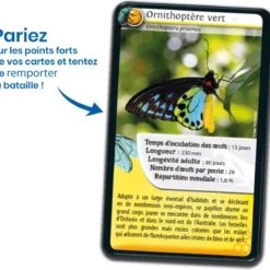 Défis Nature - Animaux : Insectes