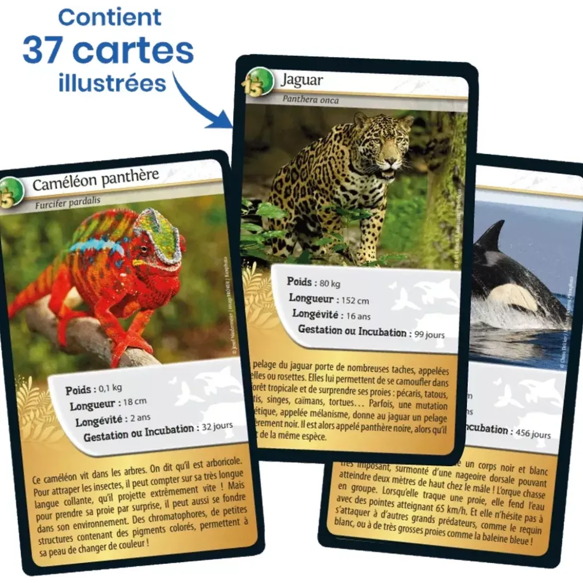 Défis Nature - Animaux : 15ème Anniversaire