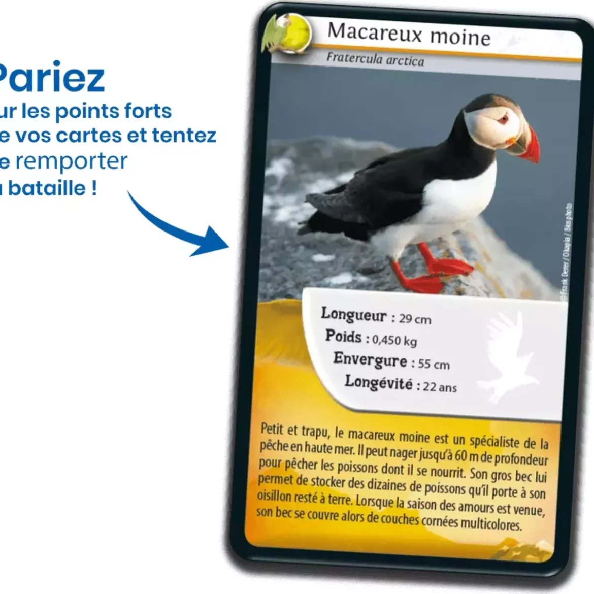 Défis Nature - Animaux : Oiseaux