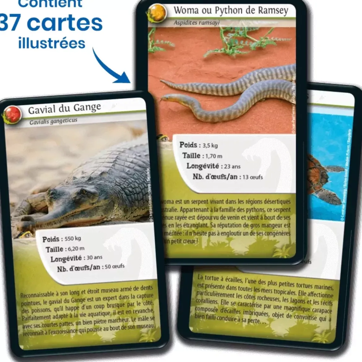 Défis Nature - Animaux : Reptiles
