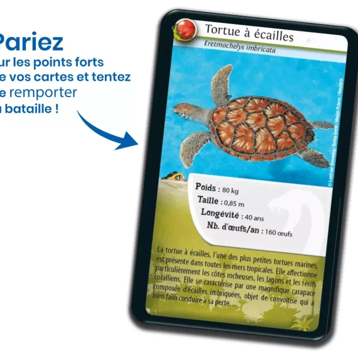Défis Nature - Animaux : Reptiles