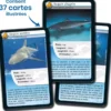 Défis Nature - Animaux : Requins