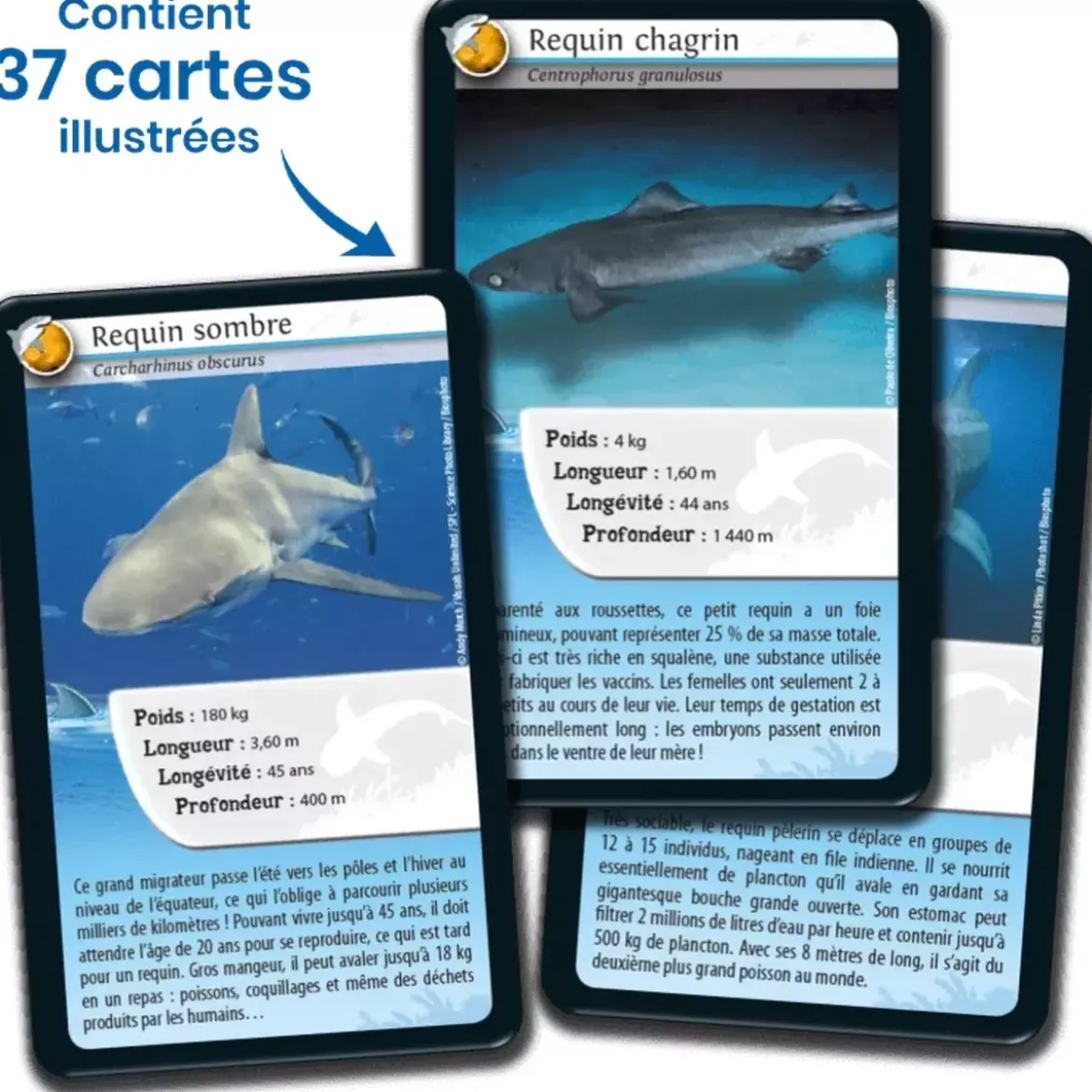 Défis Nature - Animaux : Requins