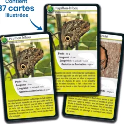 Défis Nature - Animaux : Rois du camouflage