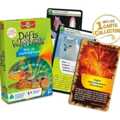 Défis Nature - Animaux : Rois du camouflage