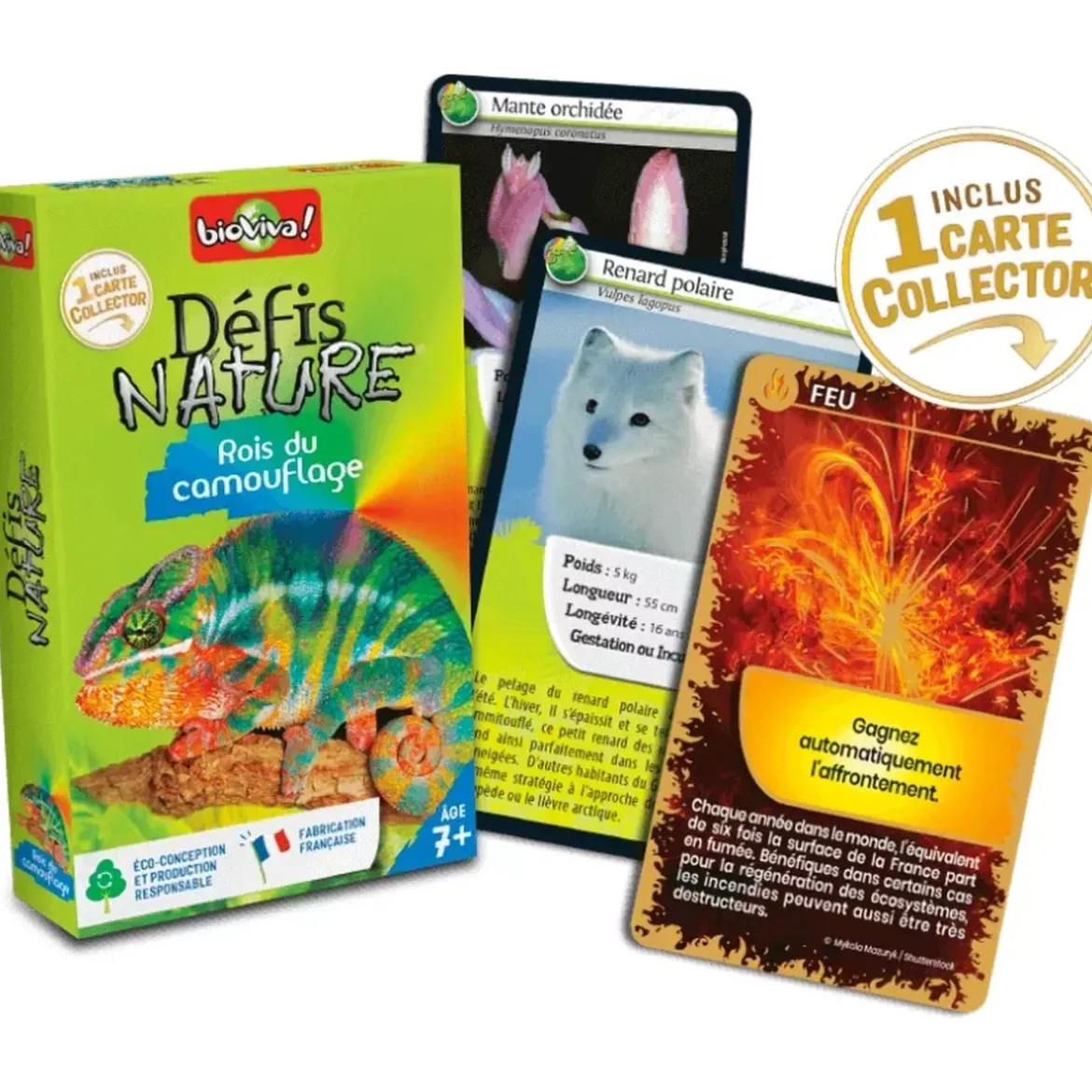 Défis Nature - Animaux : Rois du camouflage