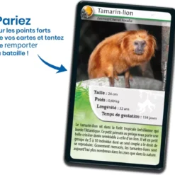 Défis Nature - Animaux : Singes et autres Primates