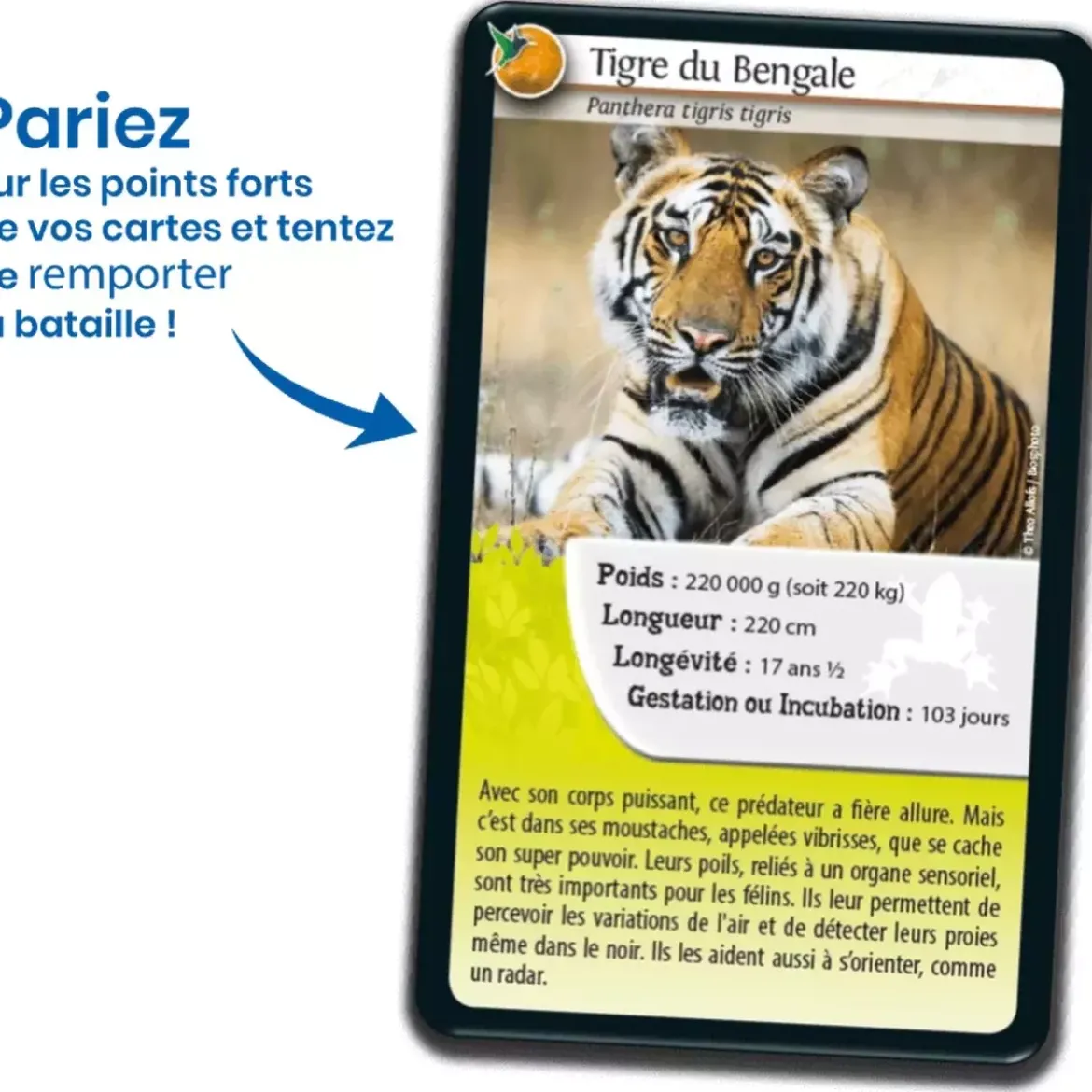 Défis Nature - Animaux : Super pouvoirs des Animaux