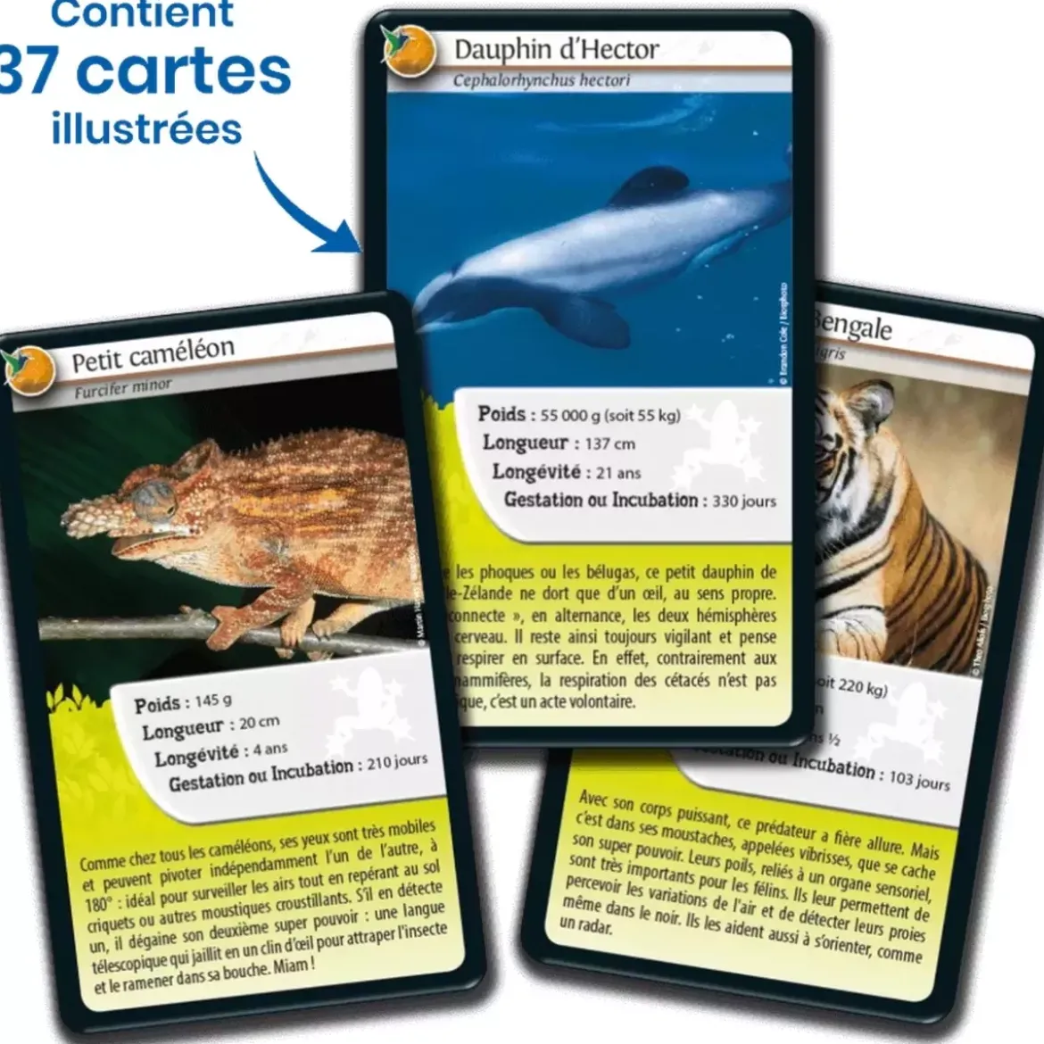 Défis Nature - Animaux : Super pouvoirs des Animaux