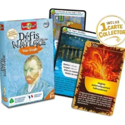 Défis Nature - Culture : Vincent Van Gogh