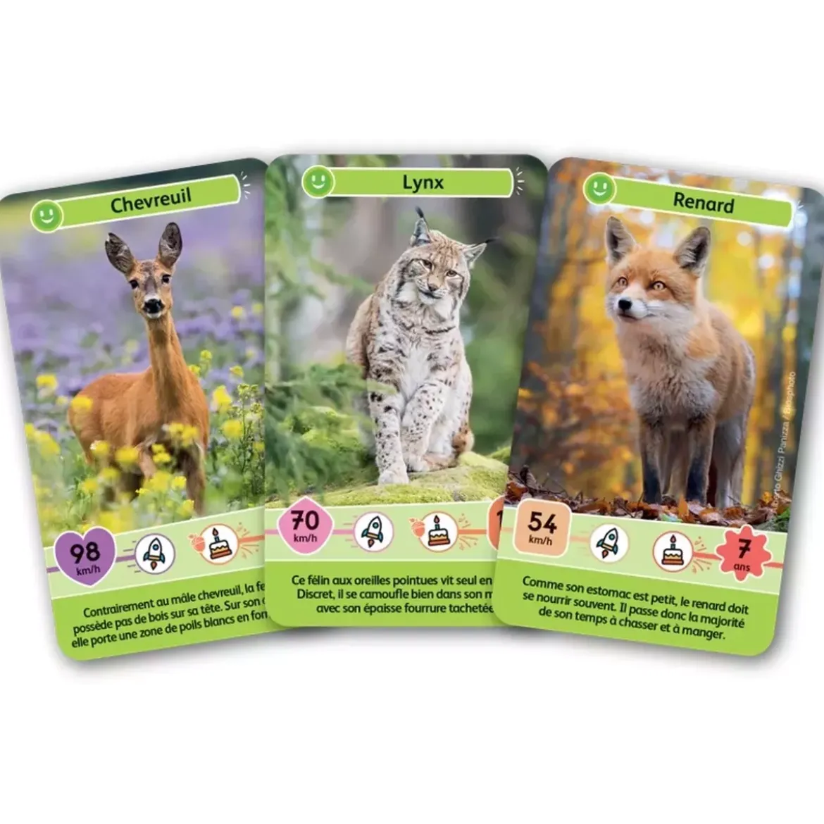 Défis Nature - Junior : Animaux de la forêt