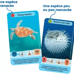 Défis Nature - Junior : Merveilles de la mer