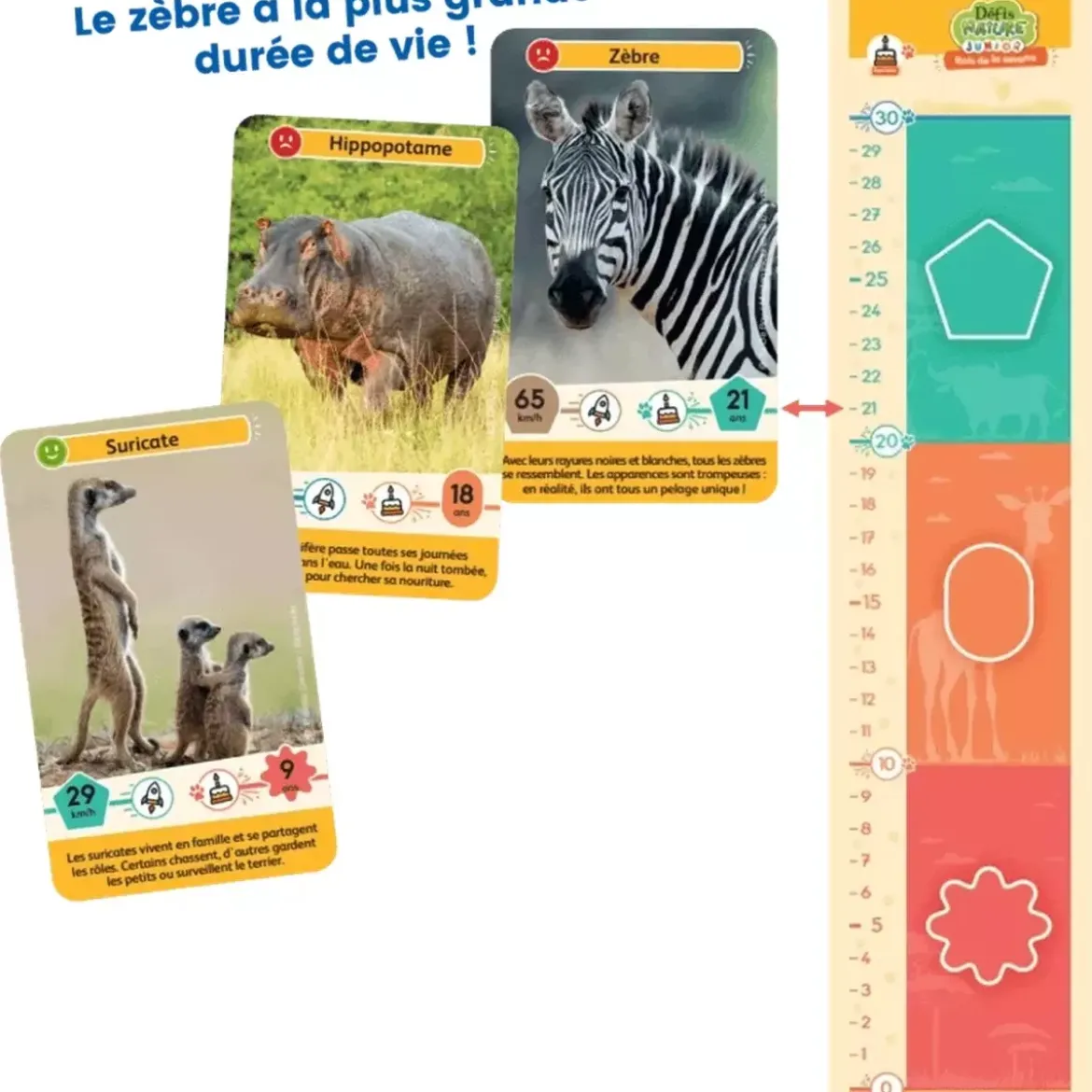 Défis Nature - Junior : Rois de la savane