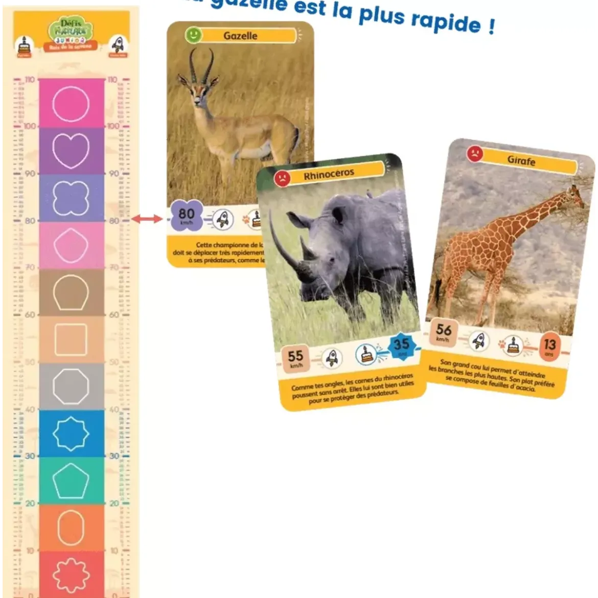 Défis Nature - Junior : Rois de la savane