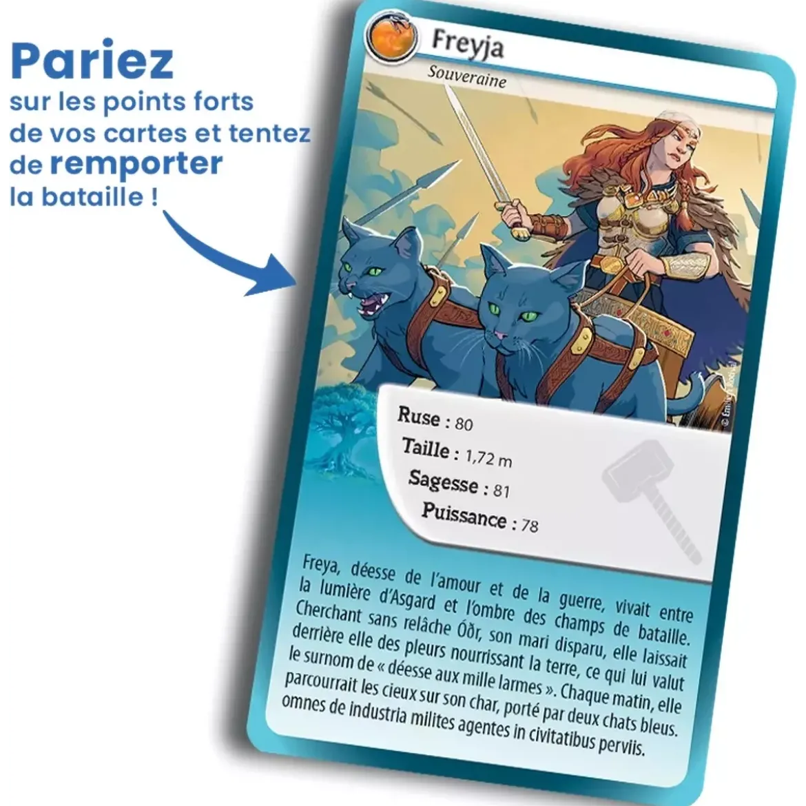 Défis Nature - Légendes : Mythes Vikings
