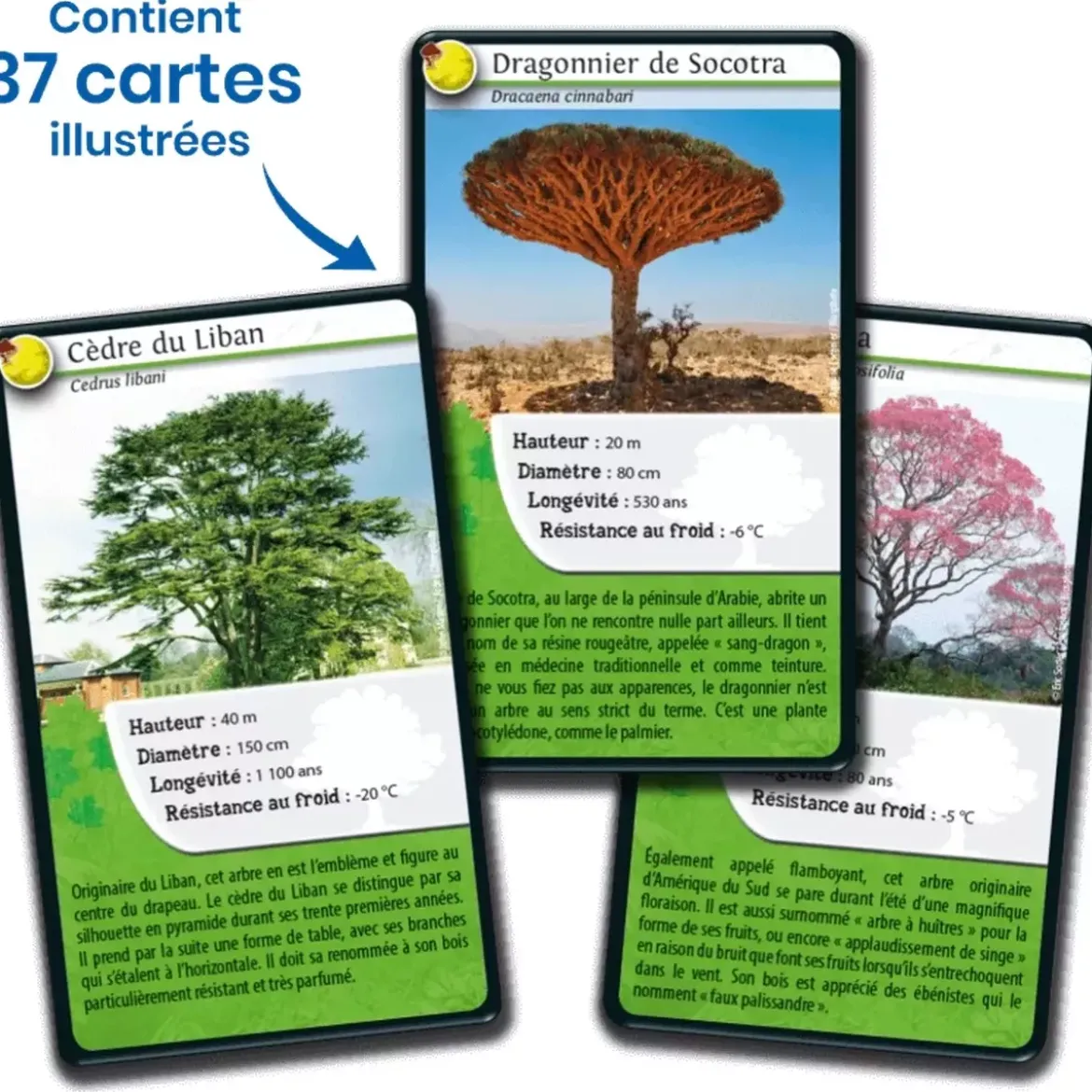 Défis Nature - Planète : Arbres du Monde